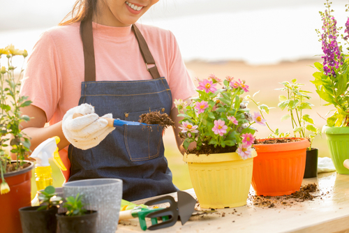 Como aprimorar suas habilidades de jardinagem com o curso de Paisagismo