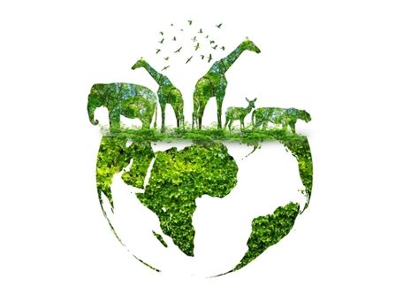 Imagem da silhueta da Terra e de animais, representando a conservação da vida selvagem.