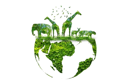Imagem da silhueta da Terra e de animais, representando a conservação da vida selvagem.