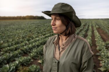 Profissional no campo de cultivo observando plantação, simbolizando a carreira em Agronomia e o trabalho diário na agricultura.