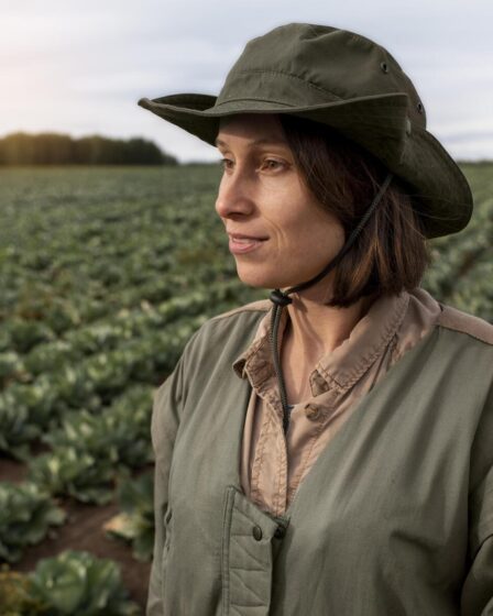 Profissional no campo de cultivo observando plantação, simbolizando a carreira em Agronomia e o trabalho diário na agricultura.
