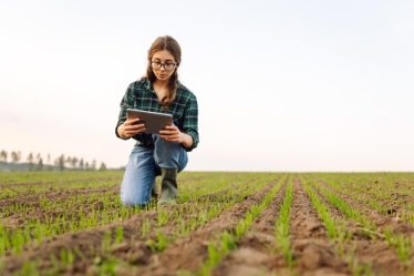 Agricultora em um campo aberto, analisando qualidade do solo em um tablet.