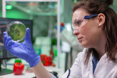 Cientista analisa amostra de folha em placa de Petri, demonstrando a pesquisa em genética vegetal do bacharelado em ciências biológicas.