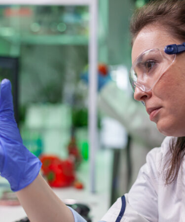 Cientista analisa amostra de folha em placa de Petri, demonstrando a pesquisa em genética vegetal do bacharelado em ciências biológicas.