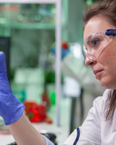 Cientista analisa amostra de folha em placa de Petri, demonstrando a pesquisa em genética vegetal do bacharelado em ciências biológicas.